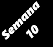 SEMANA10