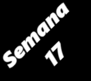 SEMANA17