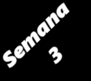 SEMANA3