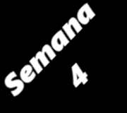 SEMANA4