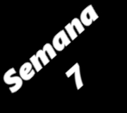 SEMANA7
