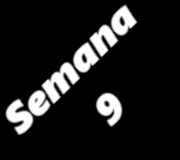 SEMANA9